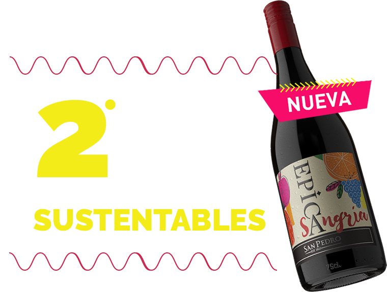 Concurso de emprendimientos sustentables